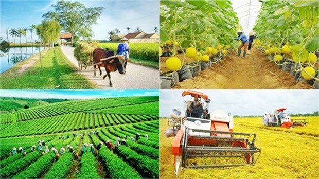 More special mechanisms proposed to speed up national target programmes (Photo: baochinhphu.vn)