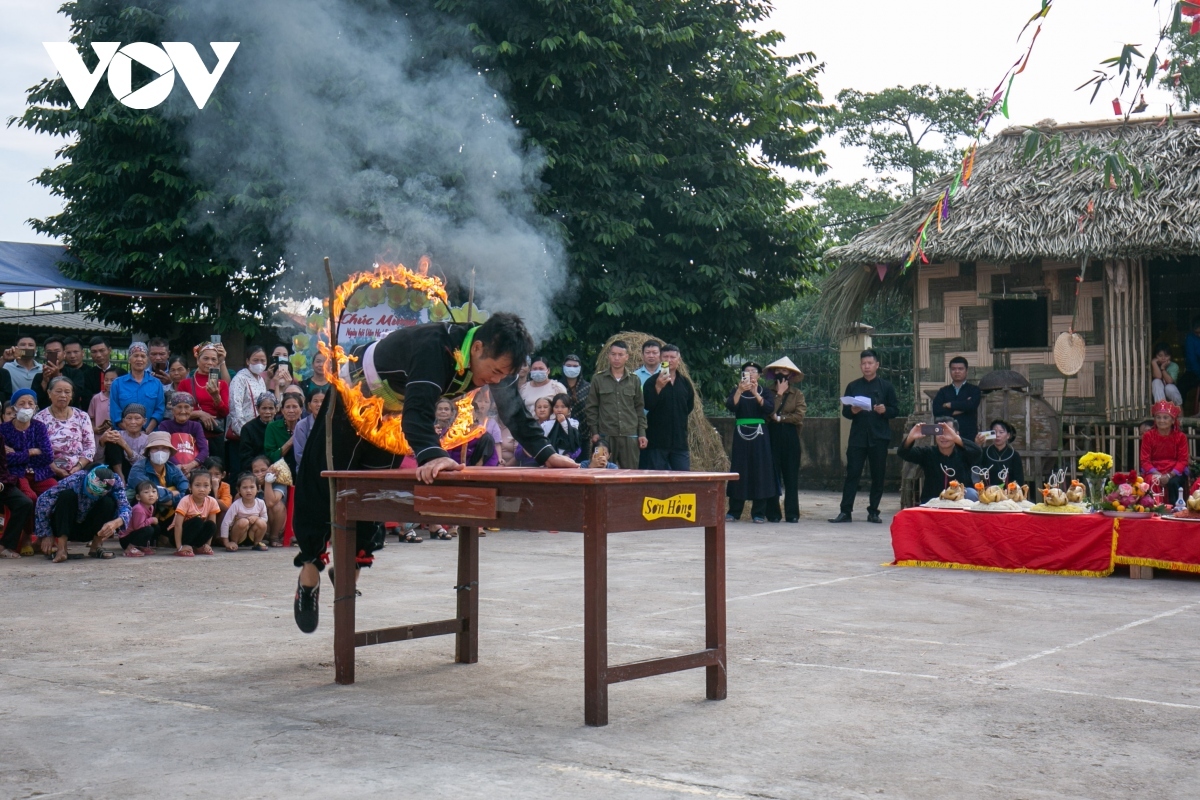 The lion-cat performance combines music, dances, martial arts, attracting visitors' attention.