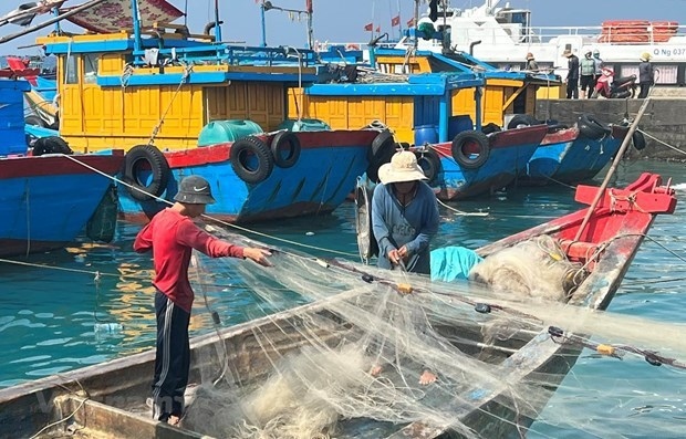 Over the past time, Tien Giang has kept close control of the fleet of fishing boats. (Photo: VNA)