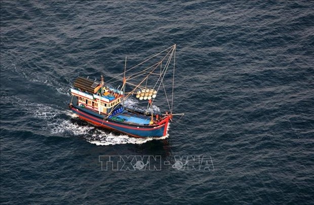 After nearly six years of carrying out anti-IUU fishing measures in a bid to get the EC’s "yellow card" warning removed and undergoing three inspections by the team, many positive developments have been recorded in Vietnam.