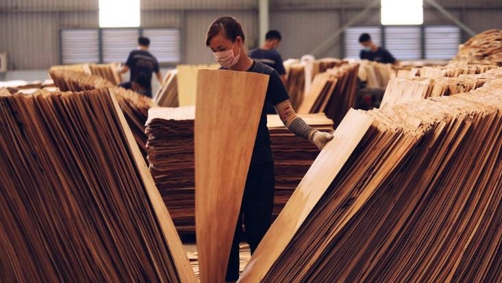 Plywood is included on the list of 18 Vietnamese products that face risk of trade defence investigations  from the US (Photo: VnEconomy)