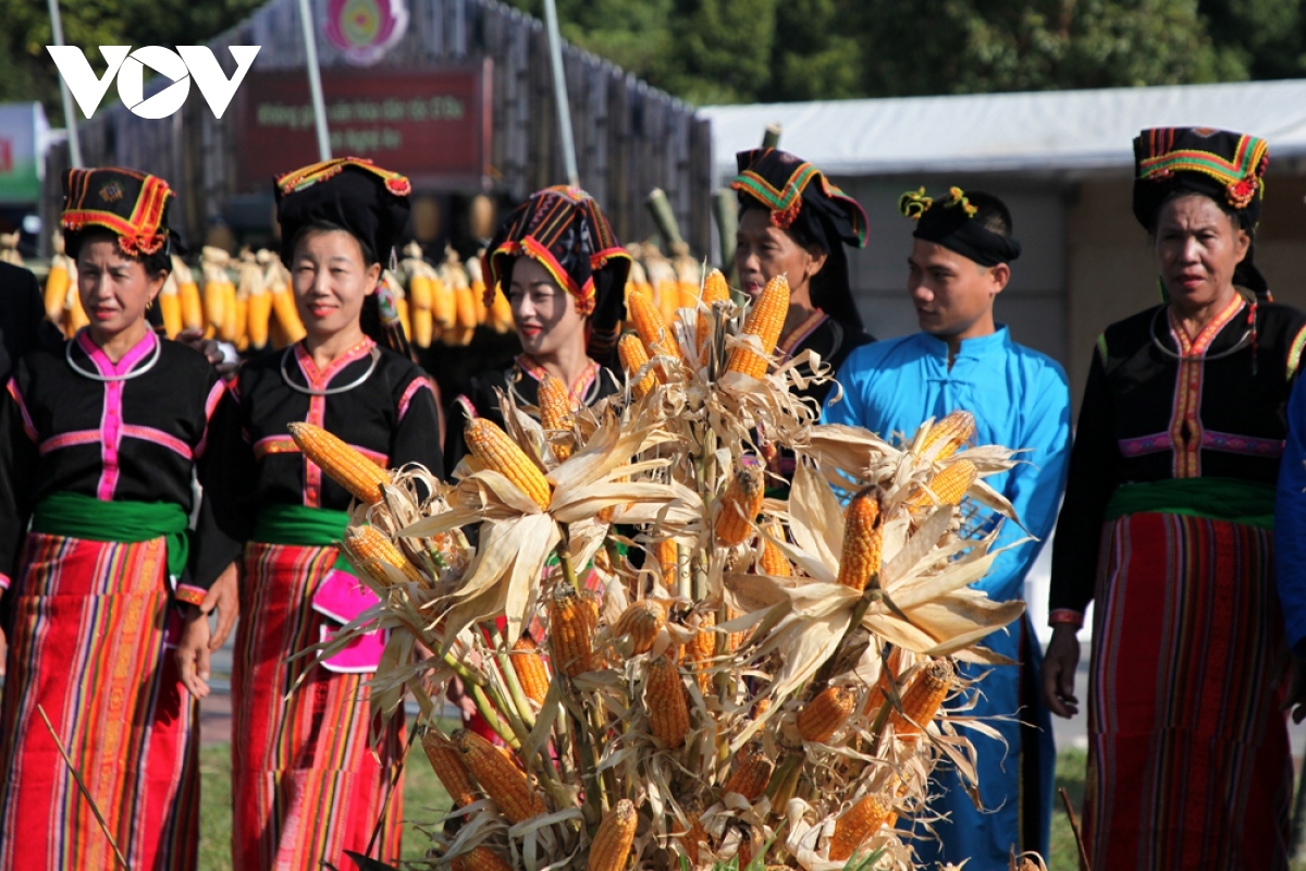 In the past, corn was one of the main dishes of the Cống people and it was closely associated with long-held beliefs.