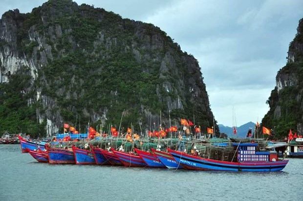 Illustrative image (Photo: baoquangninh.vn)
