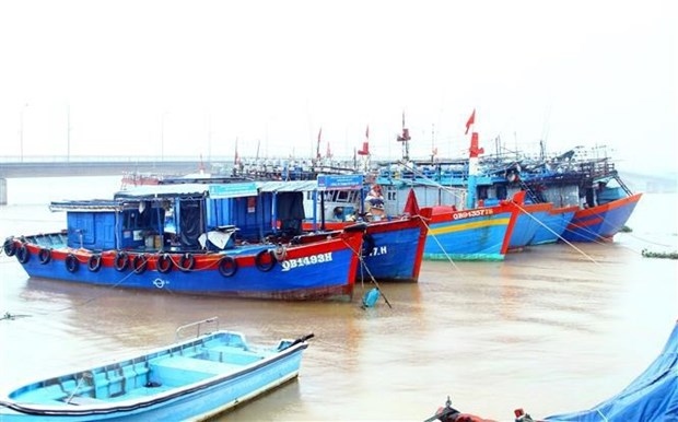 Up to 96% of the total offshore fishing vessels of Quang Binh province have installed vessel monitoring system (VMS) equipment.
