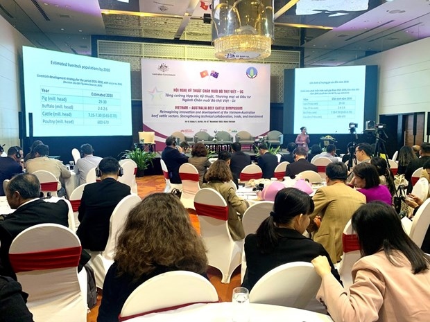 Symposium highlighting Vietnam-Australia cooperation on cattle raising is held in Hanoi on November 14.