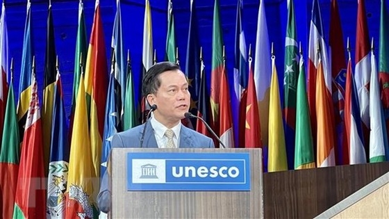 Deputy Minister of Foreign Affairs Ha Kim Ngoc speaks at the session 