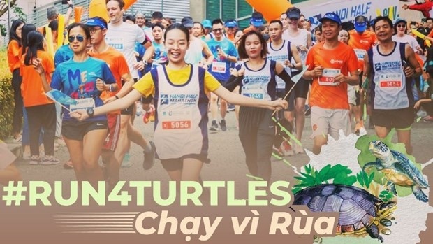 A poster of the "#Run4Turtles 2023" which is scheduled to take place in Hanoi on December 3.