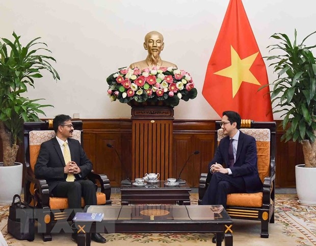 Deputy Minister of Foreign Affairs Do Hung Viet receives Special Rapporteur on the Right to Development, Surya Deva