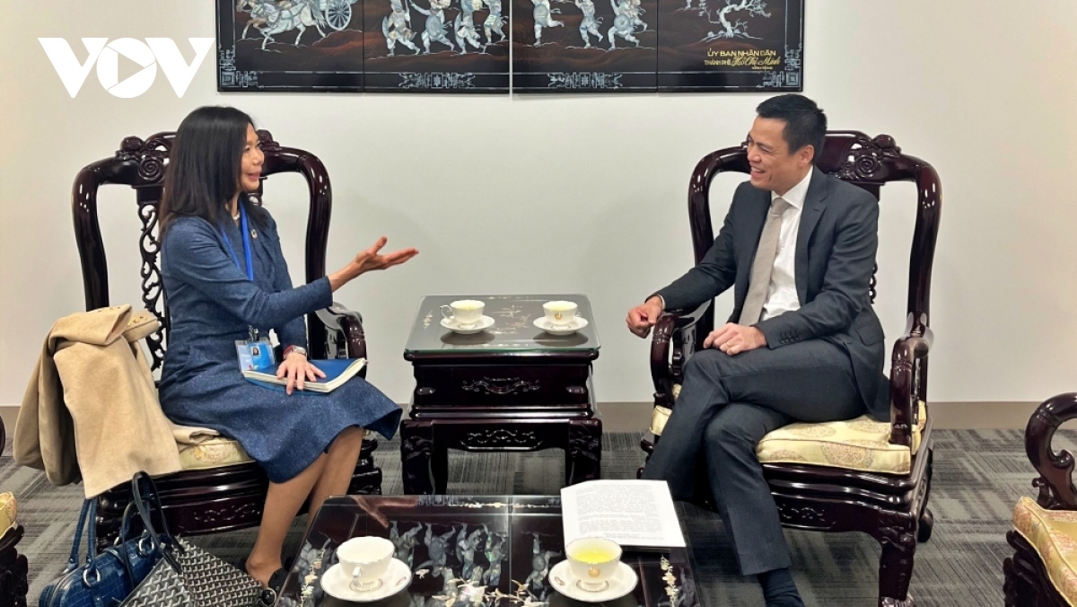 UN Resident Coordinator for Vietnam Pauline Tamesis (L) and Ambassador Dang Hoang Giang, head of the Vietnamese Delegation to the UN, during their meeting on November 16