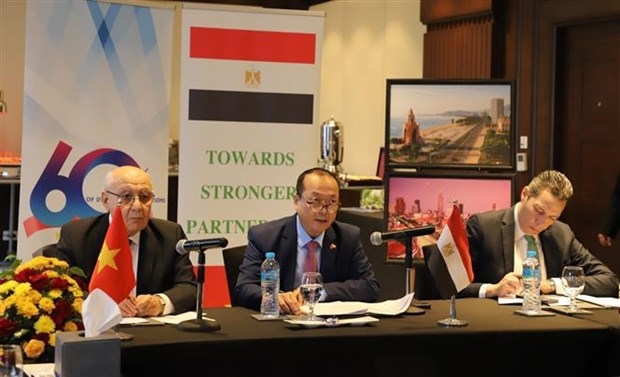 Vietnamese Ambassador to Egypt Nguyen Huy Dung speaks at the event. (Photo: VNA)