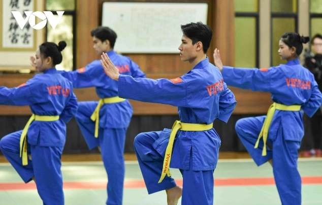 A Việt Võ Đạo (Vovinam) performance