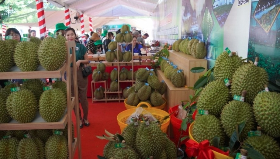 Durian exports see impressive growth in Chinese market