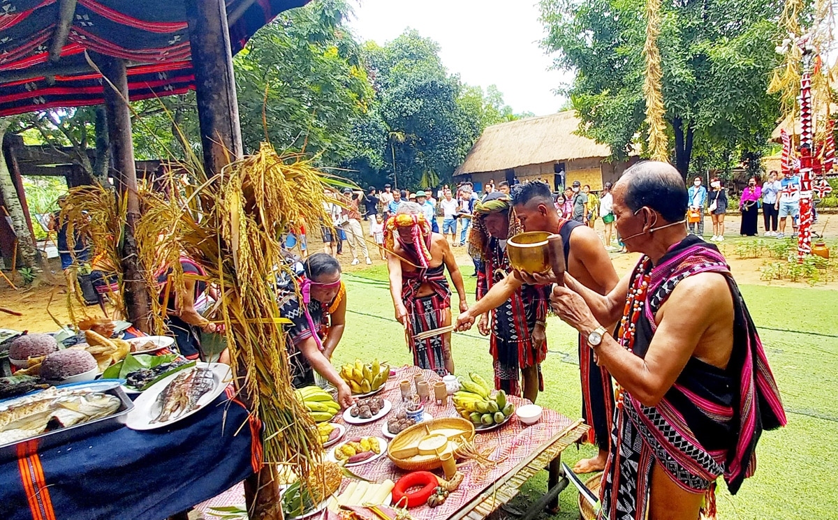 An overview of the new rice ritual of the Co Tu ethnic people in Vietnam. (Photo: baodantoc.vn)