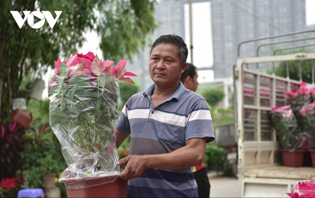 A flower festival is scheduled to take place in Xuan Quan flower village on December 22, with the event providing customers with a wide range of selection from reasonably priced flower pots.