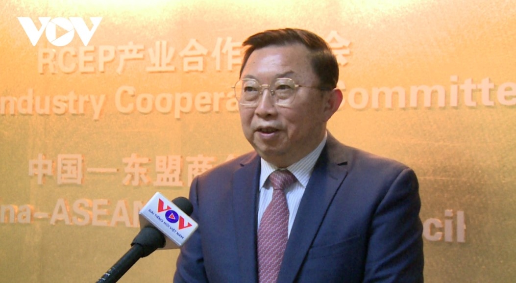 Xu Ningning, Executive President of the China-ASEAN Business Council and Chairman of the Regional Comprehensive Economic Partnership (RCEP) Industry Cooperation Committee
