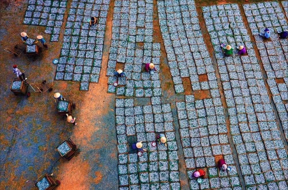 “Phoi ca” (Drying Fish) is taken by Dang Hong Long
