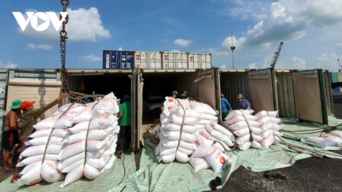 Vietnam exports more than 8 million tonnes of rice in 2023