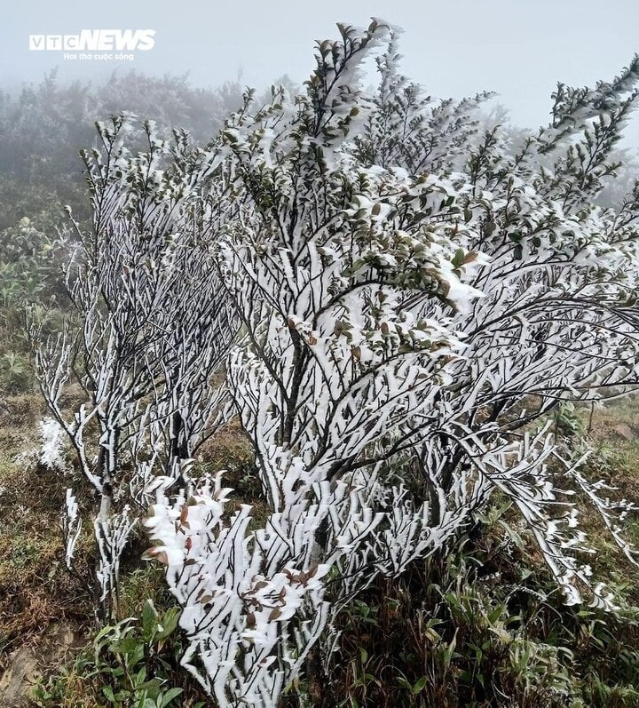 Over the past two days the majority of northern provinces have been impacted by the strongest cold spell that has hit since the beginning of this year’s winter.