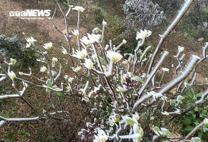 The natural phenomenon is caused by the extreme cold spell which has spread throughout northern and northcentral regions over recent days.