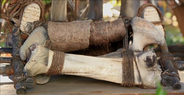 Highlights of the exhibition are a white elephant bone chair dating back 700 years and a collection of elephant hunting tools dating back more than 100 years of the M'Nong ethnic group.