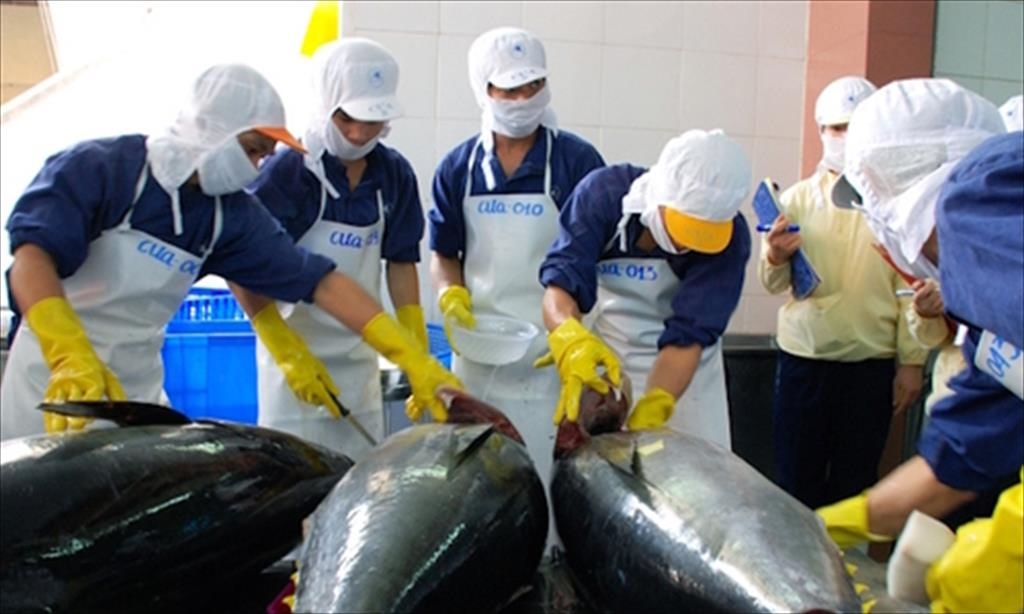 In November 2023, Vietnamese tuna export value to the Canadian market surge by 117%
(Image source:congthuong.vn)