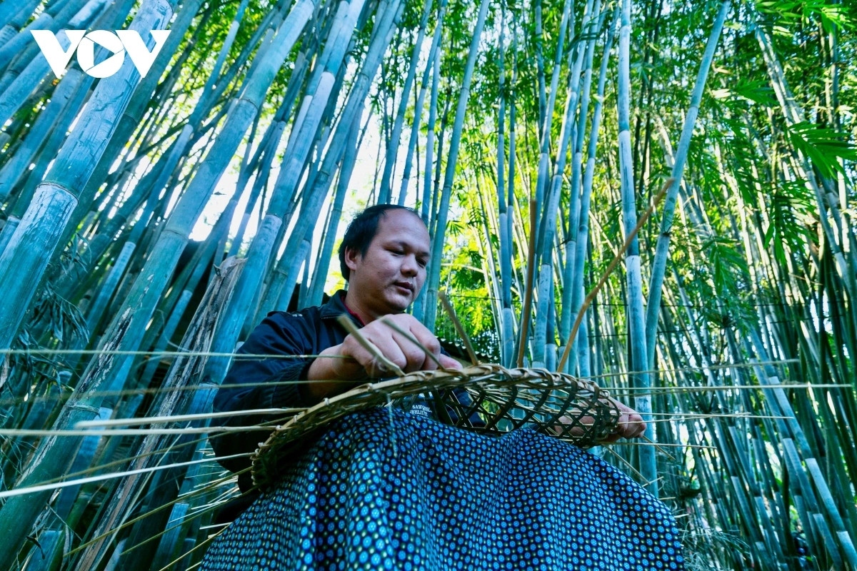 Hats are handcrafted from bamboo slats and bamboo/banana leaves. The bamboo trees chosen to make the hats must be large and be grown locally, with an average diameter of 5- 8cm and a straight stem.