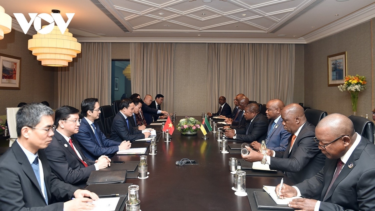 Vietnamese Deputy Prime Minister Tran Luu Quang meets Mozambican President Filipe Jacinto Nyusi in India on January 10 on the sidelines of the 10th Vibrant Gujarat Global Summit.