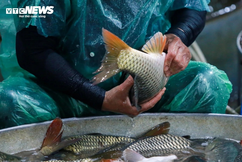 The site is the largest fish market in Hanoi, with nearly 100 stalls in the market.