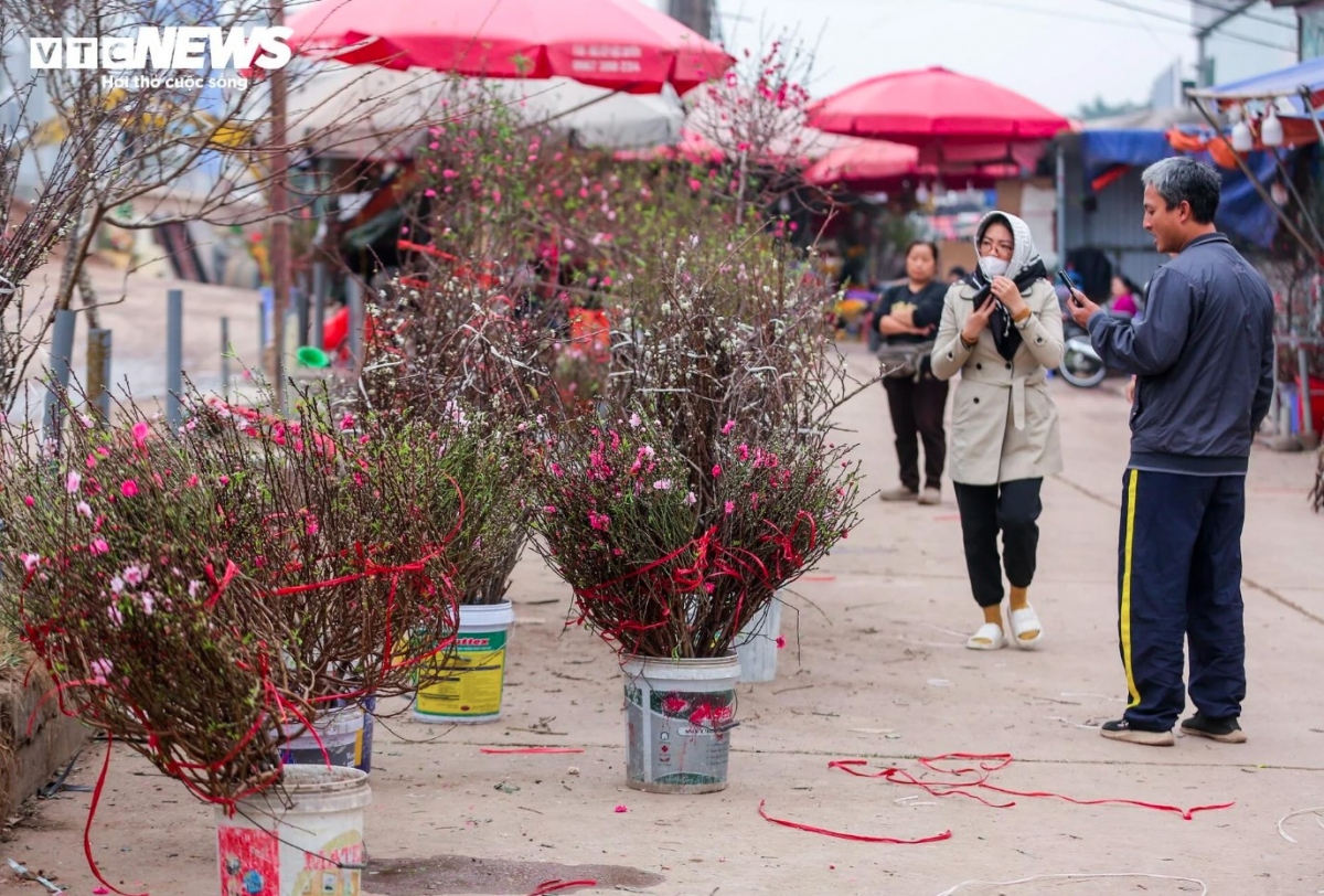 According to local sellers, branches of early peach blossoms cost between VND800,000 and VND1 million, price depending on the size.