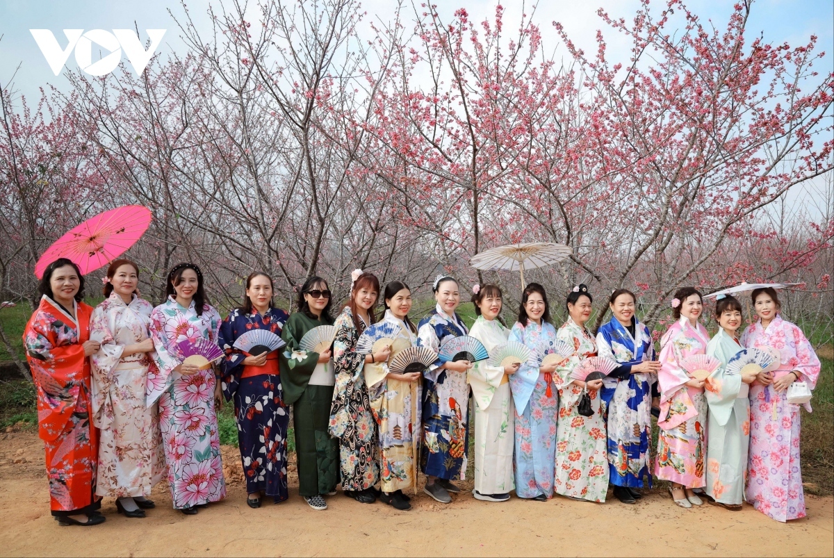 The festival is also part of activities to mark the 51st anniversary of the establishment of diplomatic relations between Vietnam and Japan.