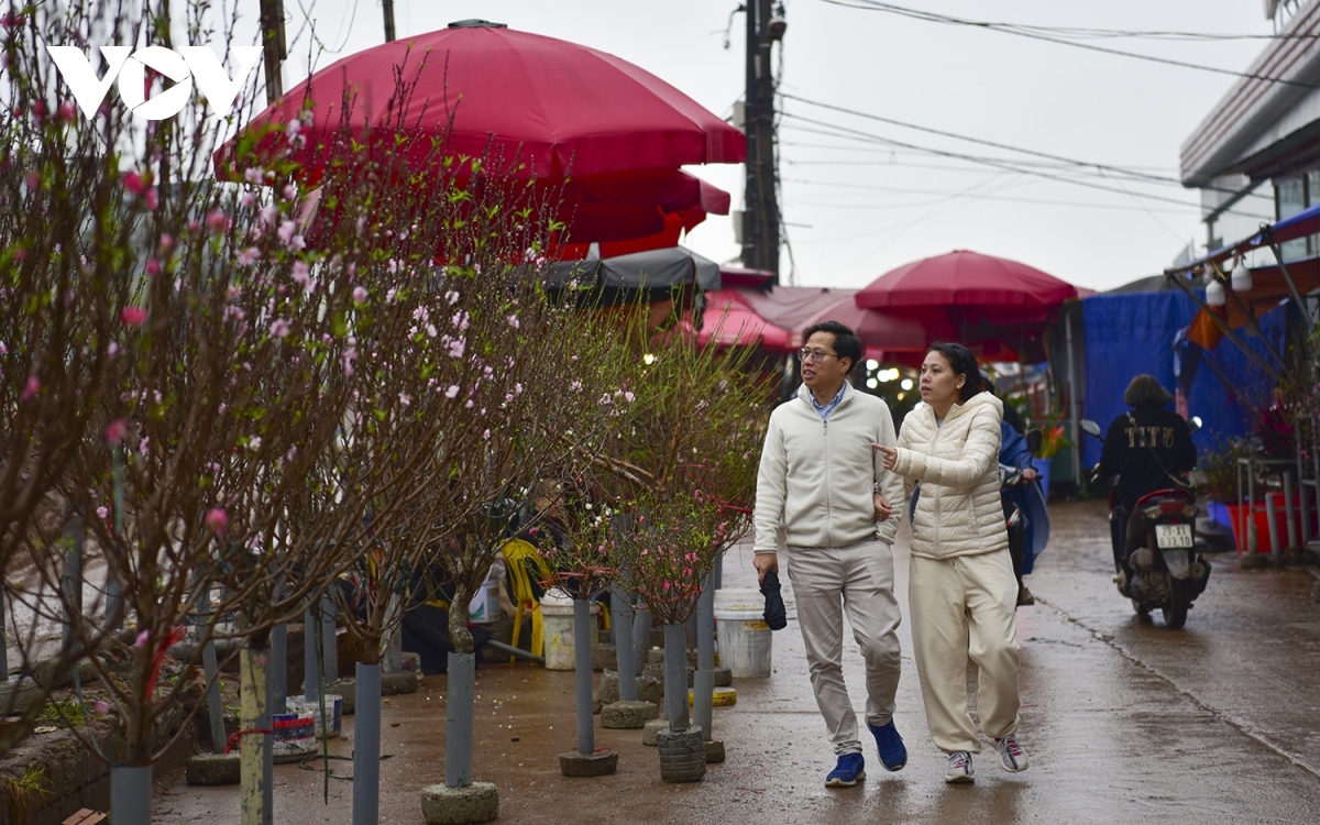 Nhat Tan peach branches are quite reasonably priced, ranging from VND200,000 to VND800,000 depending on their size.
