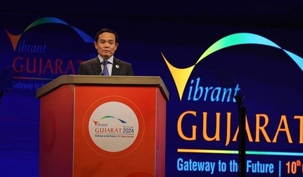 Vietnamese Deputy Prime Minister Tran Luu Quang addresses the summit. (Photo: VNA)