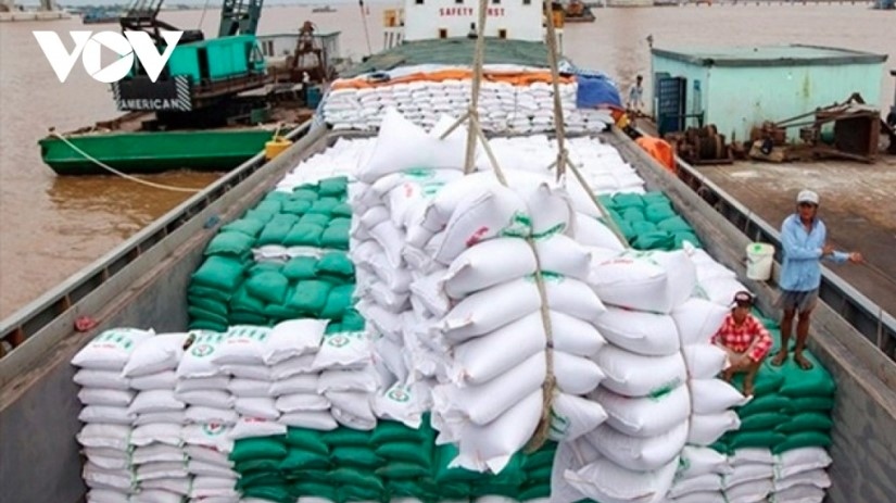 The prices of Vietnamese export rice endure a sharp decline after hitting a record high in recent months.