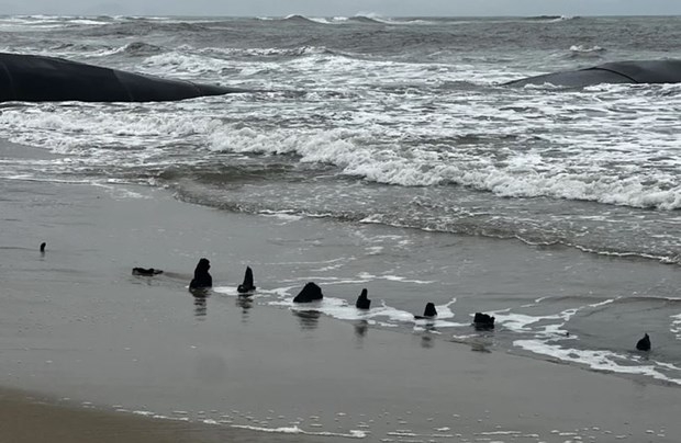 The shipwreck before vanishing (Photo: Cong an Nhan dan newspaper)