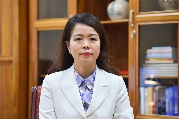 Deputy Minister of Foreign Affairs Nguyen Minh Hang (Photo: VNA)