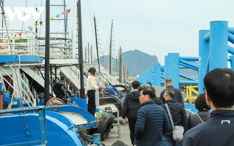Thousands of international visitors are poised to visit Ha Long Bay every day during Tet.