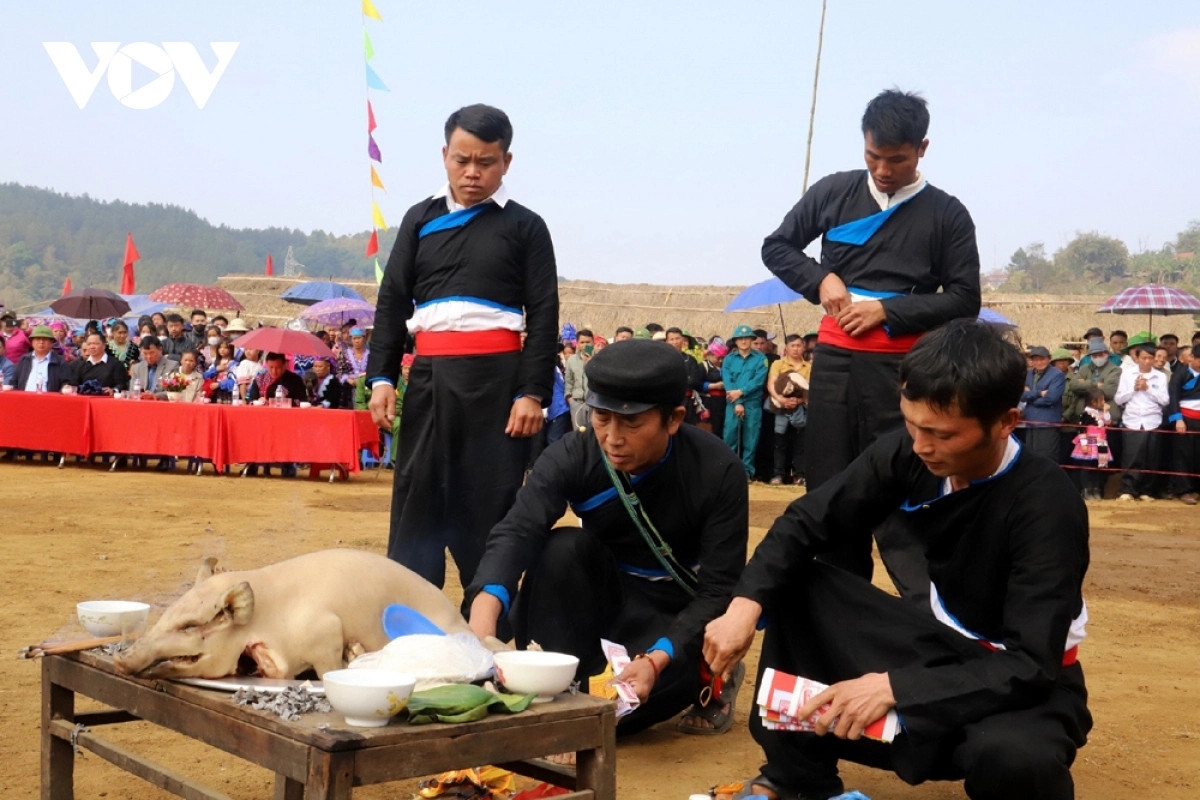 The main offerings are products made by local people such as pigs, chickens, sticky rice, among others.