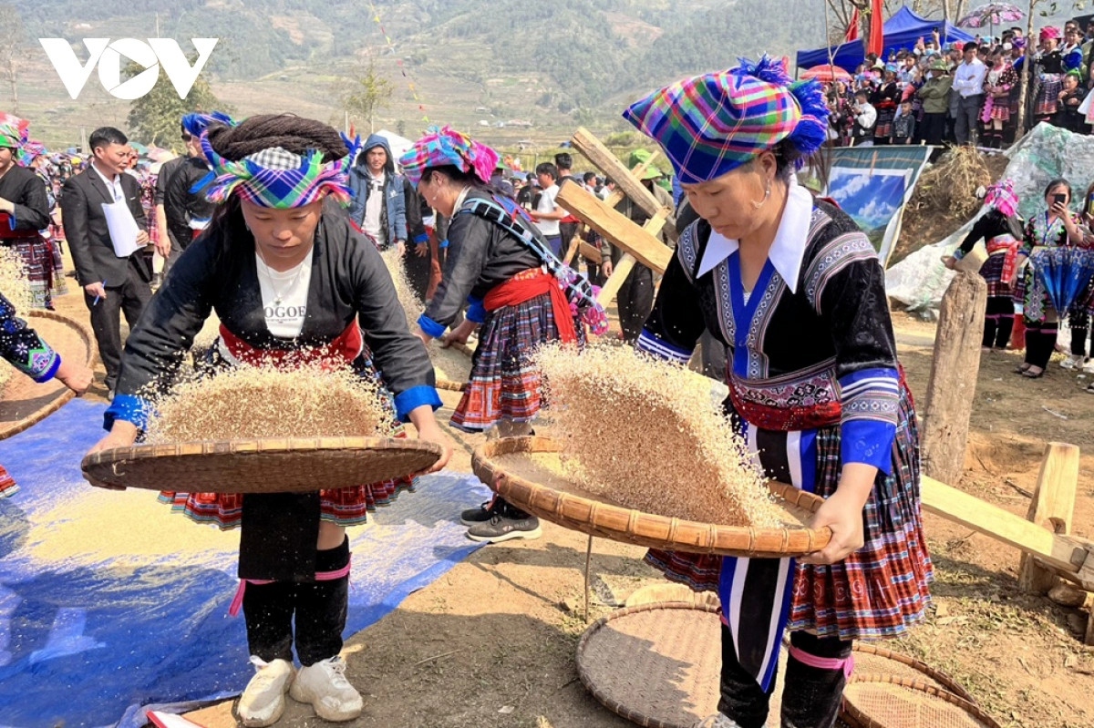 Rice winnowing is a farming practice that is very familiar to the Mong women.
