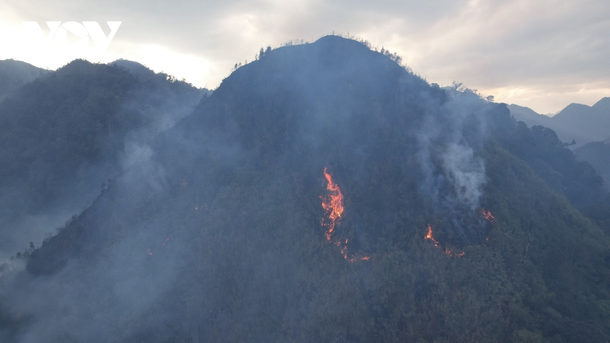 The wildfire has destroyed approximately 30ha of forests in Hoang Lien National Park