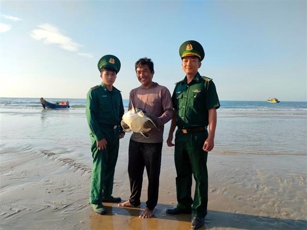 On February 4, the wild animal was handed over to border guards by a local man who accidentally caught it near Ho Tram beach.