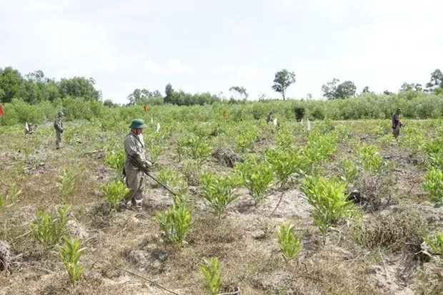 (Photo: The Courtesy of VNMAC)