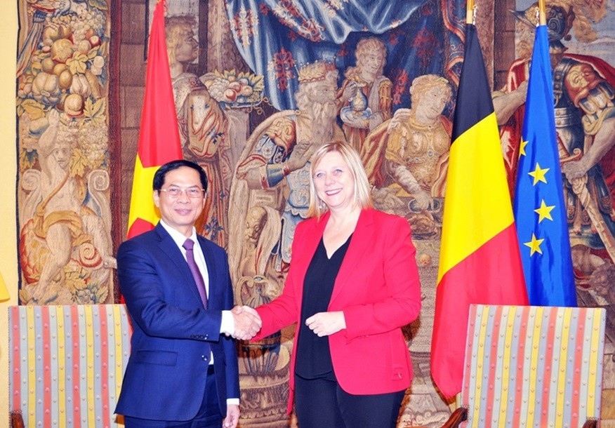 President of the Belgian Chamber of Representatives Eliane Tillieux and Vietnamese Minister of Foreign Affais Bui Thanh Son shaking hands in Brussels. (Photo: Kim Giang)