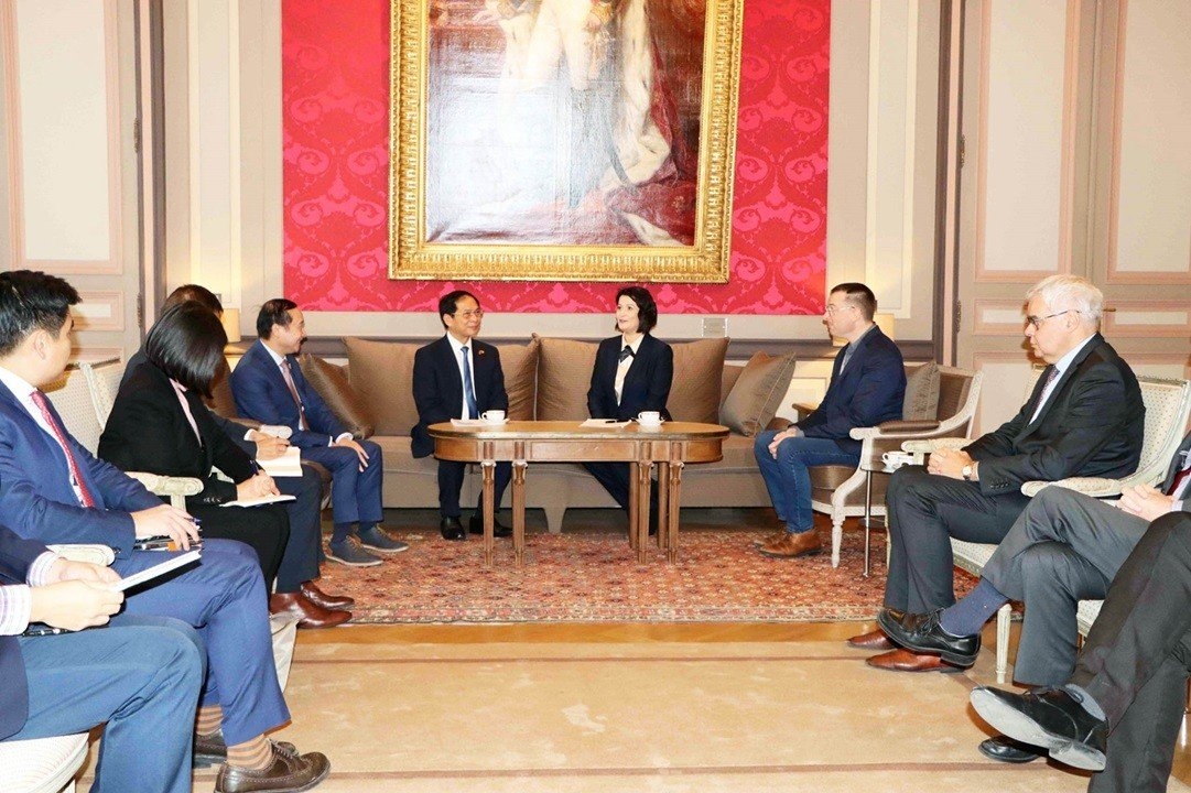 President of the Belgian Senate Stephanie D'Hose meets with Vietnamese Minister of Foreign Affairs Bui Thanh Son in Brussels. (Photo: Kim Giang)