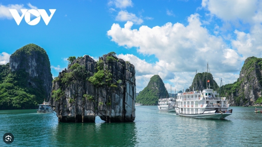 Quang Ninh is home to the world heritage site of Ha Long Bay, which has twice been recognised by UNESCO for its outstanding aesthetic, geological, and geomorphological values. Next to Ha Long Bay is Bai Tu Long Bay, Van Don island, and Co To island, all of which boast breathtaking natural beaches.