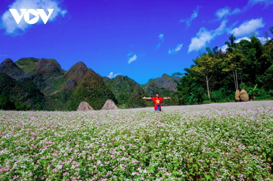 The northern mountainous province of Ha Giang welcomes adventurers with its awe-inspiring landscapes and rich cultural tapestry. The locality offers challenging mountain trails, lush greenery, and colourful ethnic villages.