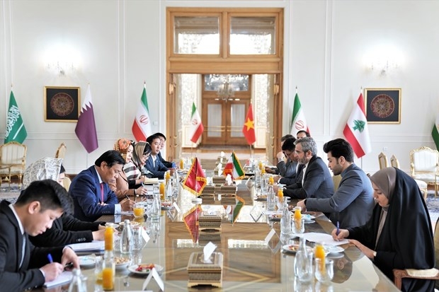The eighth political consultation at the deputy foreign ministerial level between Vietnam and Iran (Photo:VNA)