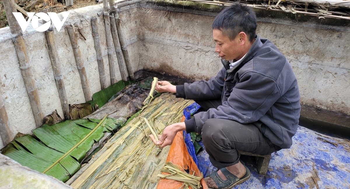 The main materials used to make paper are bamboo trees.