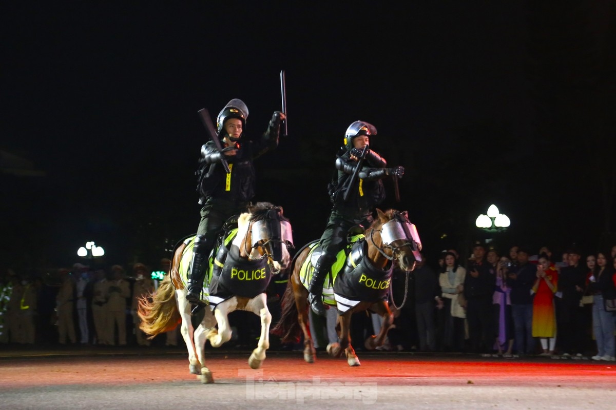 The horses can be used for patrols or rescue work in mountainous areas.