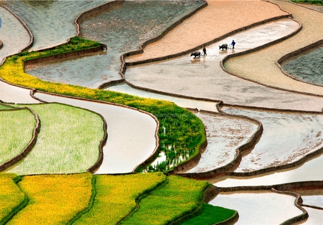 A photo taken by photographer Trinh Ngan Lien wins a gold medal at the HCM City international photo contest. (Photo courtesy of HPA)