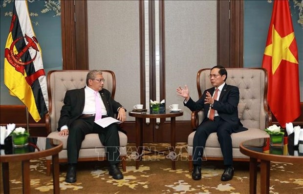 Minister of Foreign Affairs Bui Thanh Son (R) and Second Minister of Foreign Affairs of Brunei Dato Pehin Erywan Yusof. (Photo: VNA)